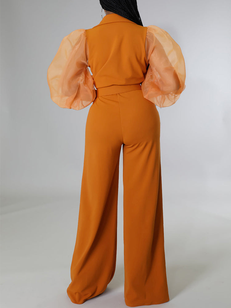 Mesh Puff Sleeve V Neck Elegant Jumpsuit